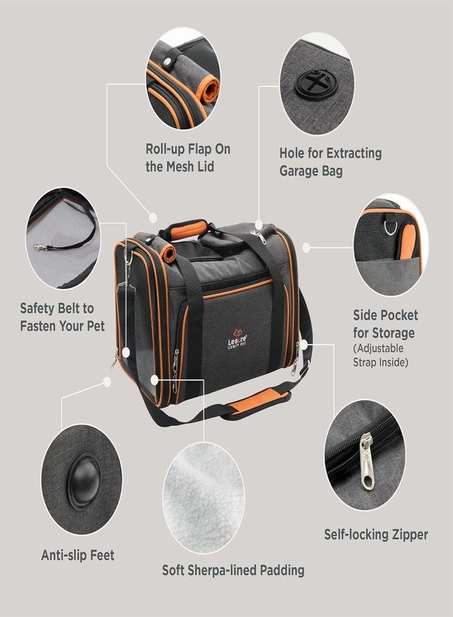 Dratal Cat Carrier, Airline Approved Pet, Portable Dog Bag, Breathable Small Travel Cage with Adjustable Shoulder Strap,(Grey - 43 * 28 * 28 CM) - Image 3